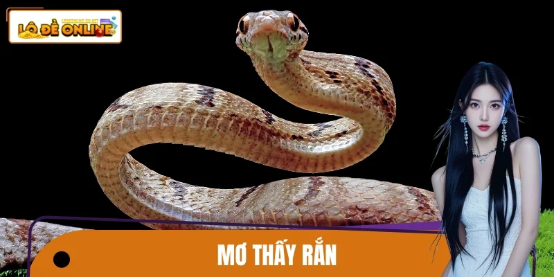 Mơ Thấy Rắn – Tín Hiệu Vận Mệnh Ít Người Nhận Ra